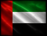  UAE Flag